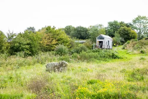 The Dragonfly NaviHo photo 2