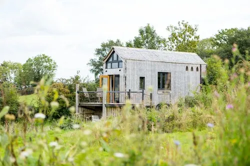 The Dragonfly NaviHo photo 4