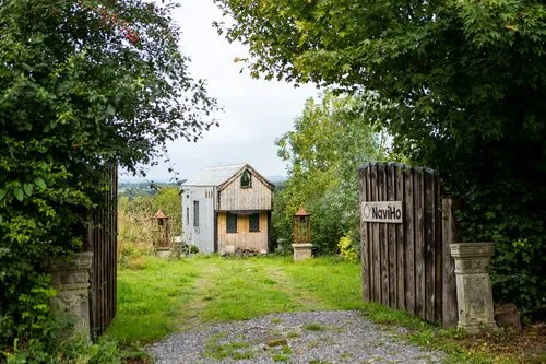 The Dragonfly NaviHo photo 6