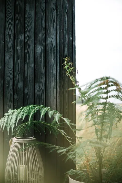 ELEMENTS SLEEP CABIN photo 5