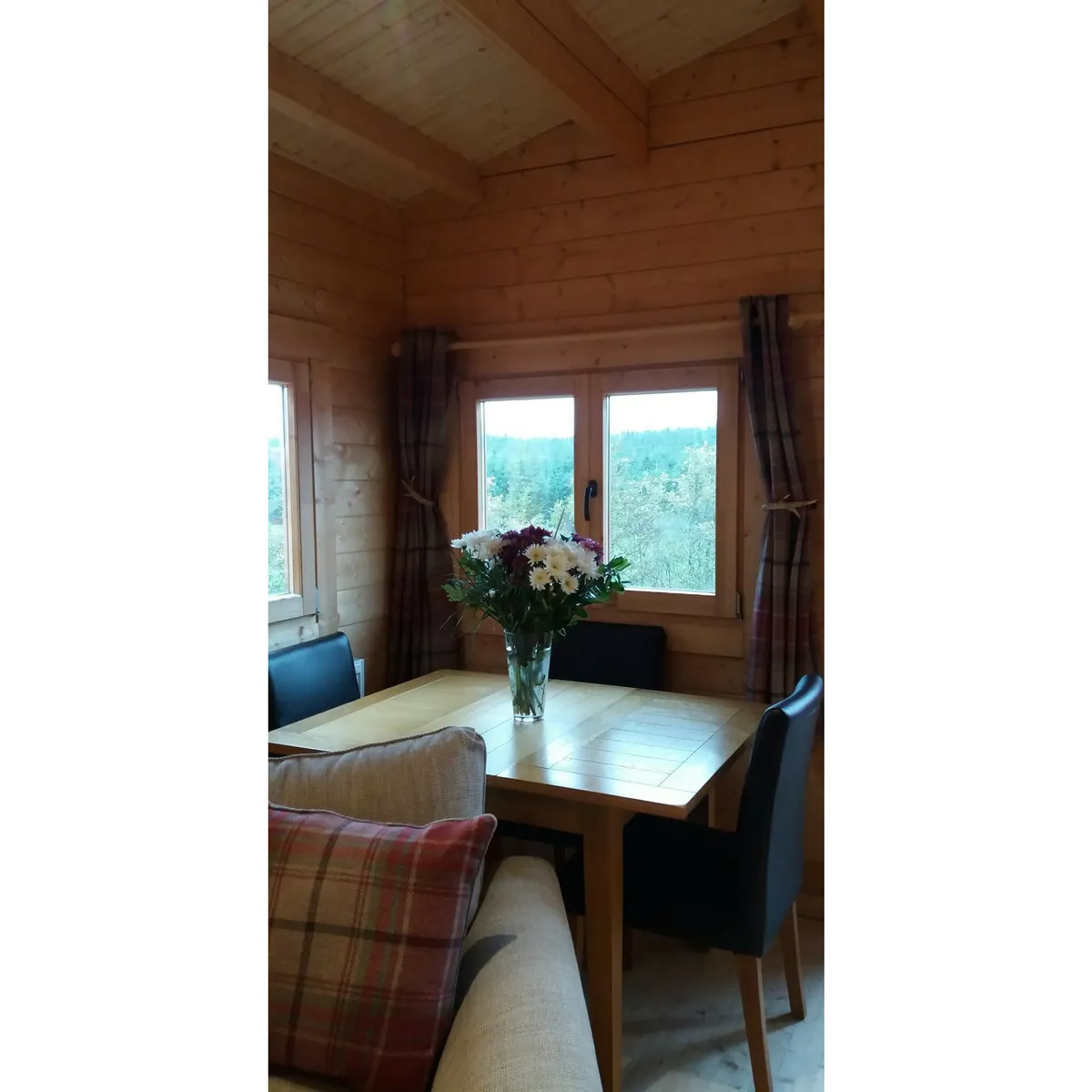 ASCOT T24 XL photo 5