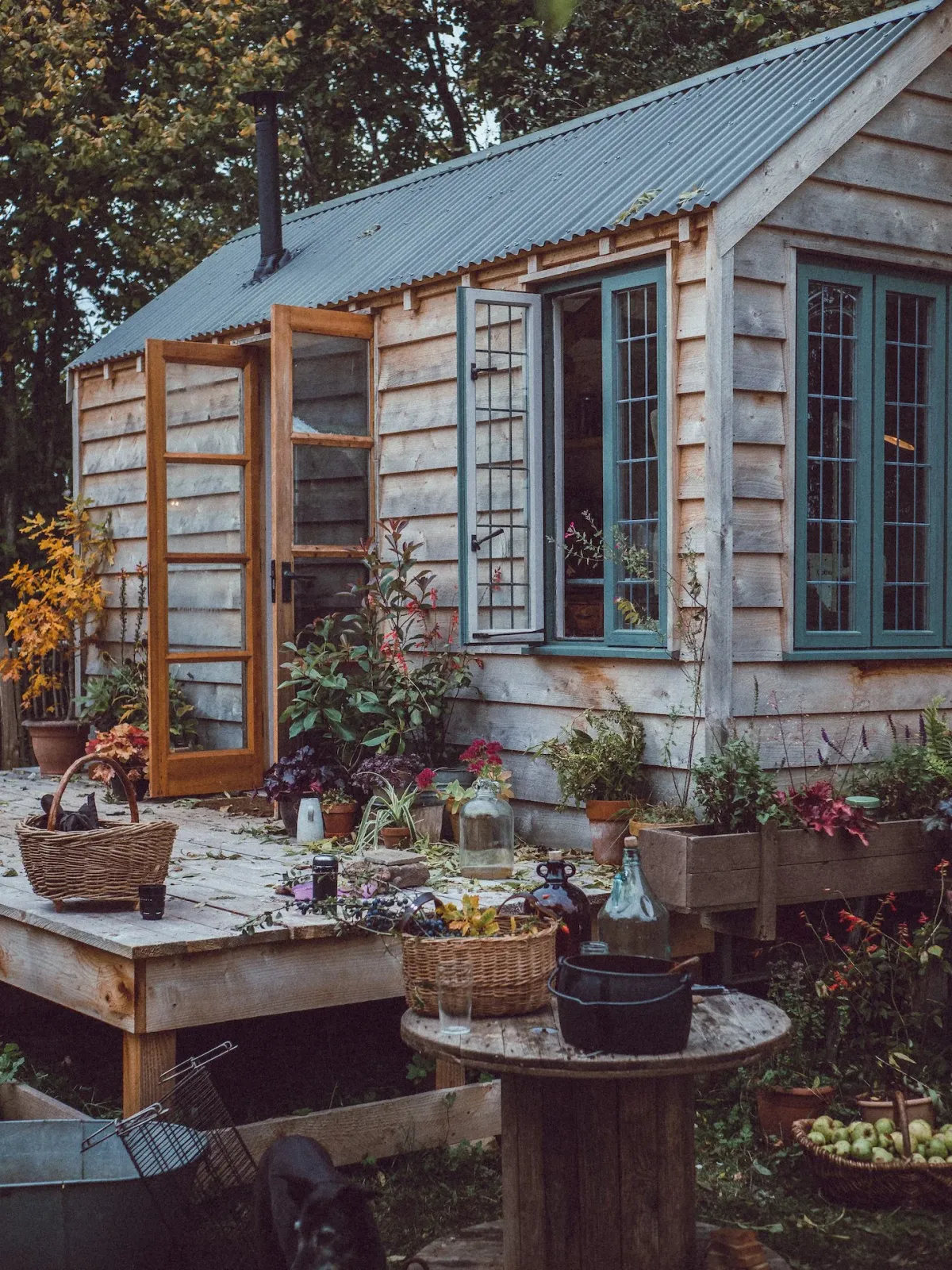 THE BIRCH - STUDIO photo 2