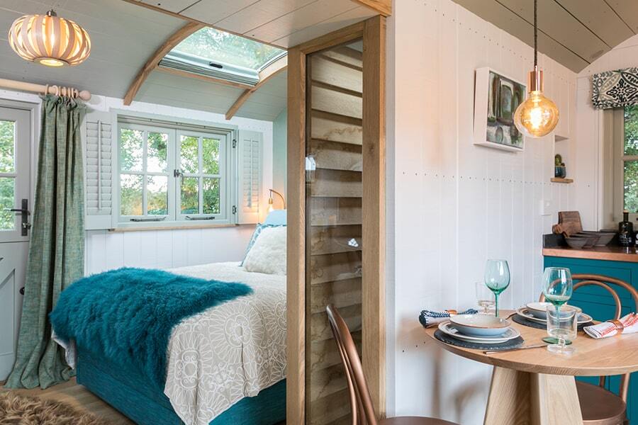 The Brace Hut (Founder Brace)